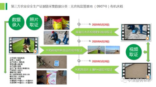 三安数据证据链管理系统 赋能河北文安县农产品质量工程管理咨询新路径
