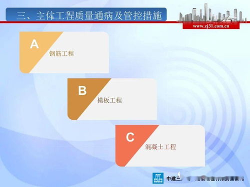 建筑工程质量管理及主体工程质量通病质量管控 工程管理咨询实践与对策